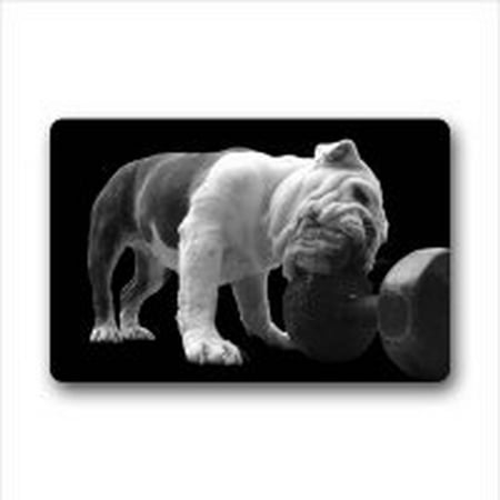 WinHome Lovely English Bulldog Doormat Floor Mats Rugs Outdoors/Indoor Doormat Size 23.6x15.7 inches