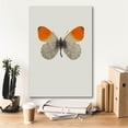 thumbnail image 5 of Epic Graffiti 'Agrias Amydon 2' by Incado, Giclee Canvas Wall Art, 18"x26", 5 of 8