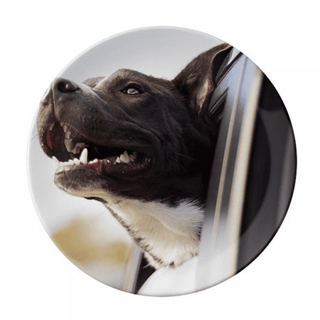 

Black Dog Animal Photograph Picture Plate Decorative Porcelain Salver Tableware Dinner Dish