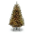 thumbnail image 1 of National Tree Company 5.5 Foot Pre Lit North Valley Spruce Christmas Tree, 1 of 4