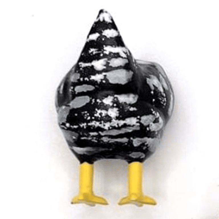  Pomobie Chicken Butt Magnets, Funny Refrigerator