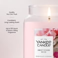 thumbnail image 3 of Yankee Candle Driftwood Rose Original Large Jar Scented Candles, 22 oz, 3 of 6