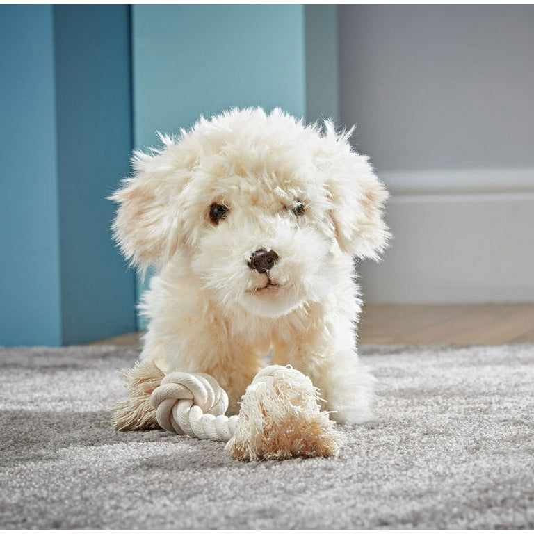 Labradoodle on sale plush toy