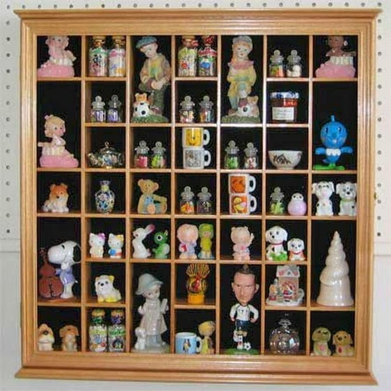 Collectible Display Case Wall Curio Shadow Box, with glass door