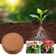 thumbnail image 6 of Chamoist Organic Coco Coir Bricks,Coconut Coir Pellets Soil for Planting,Compressed Coco Peat Brick Coconut Fiber Substrate , Plant Soil Enhance Root Growth for Herbs, Flowers, House Plants, 6 of 9