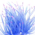thumbnail image 2 of POINTERTECK Colorful Artificial Resin Coral Aquarium Decorations Soft Plant Simulation Fish Tank Ornament yellow, 2 of 9