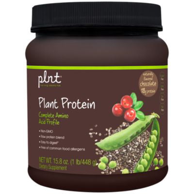 plnt Chocolate Plant Protein Powder with Complete Amino Acid Profile  Raw Protein Blend, Easy to Digest  Provides Energy, 19g of Protein Per Serving (1 Pound