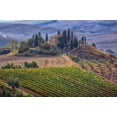 thumbnail image 2 of Eggers, Julie 24x17 Black Ornate Wood Framed with Double Matting Museum Art Print Titled - Italy-Tuscany Belvedere House-Olive trees-and vineyards near San Quirico dOrcia, 2 of 4