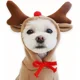 thumbnail image 1 of Sudadera Hoodie Para Perros Gatos Con Estilo Navideño, 1 of 6