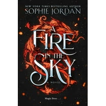 A Fire in the Sky: A Novel (Hardcover)