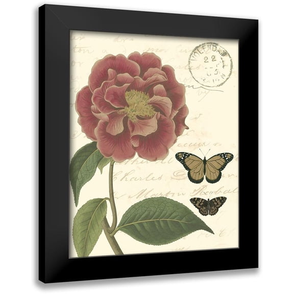 Vision Studio 12x14 Black Modern Framed Museum Art Print Titled - Small Vintage Floral III
