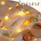thumbnail image 1 of Guirnalda de luces de Pascua con formas de conejo y zanahoria | Luces LED para decoración navideña | Alambre de cobre flexible para coronas y centros de mesa, 1 of 6