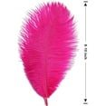 thumbnail image 6 of NOGIS Rose Red Ostrich Feathers 8-10inch(20-25cm) 20pcs Natural Feathers for Wedding Party Centerpieces Home Decorations Dream Catchers DIY Feathers, 6 of 7
