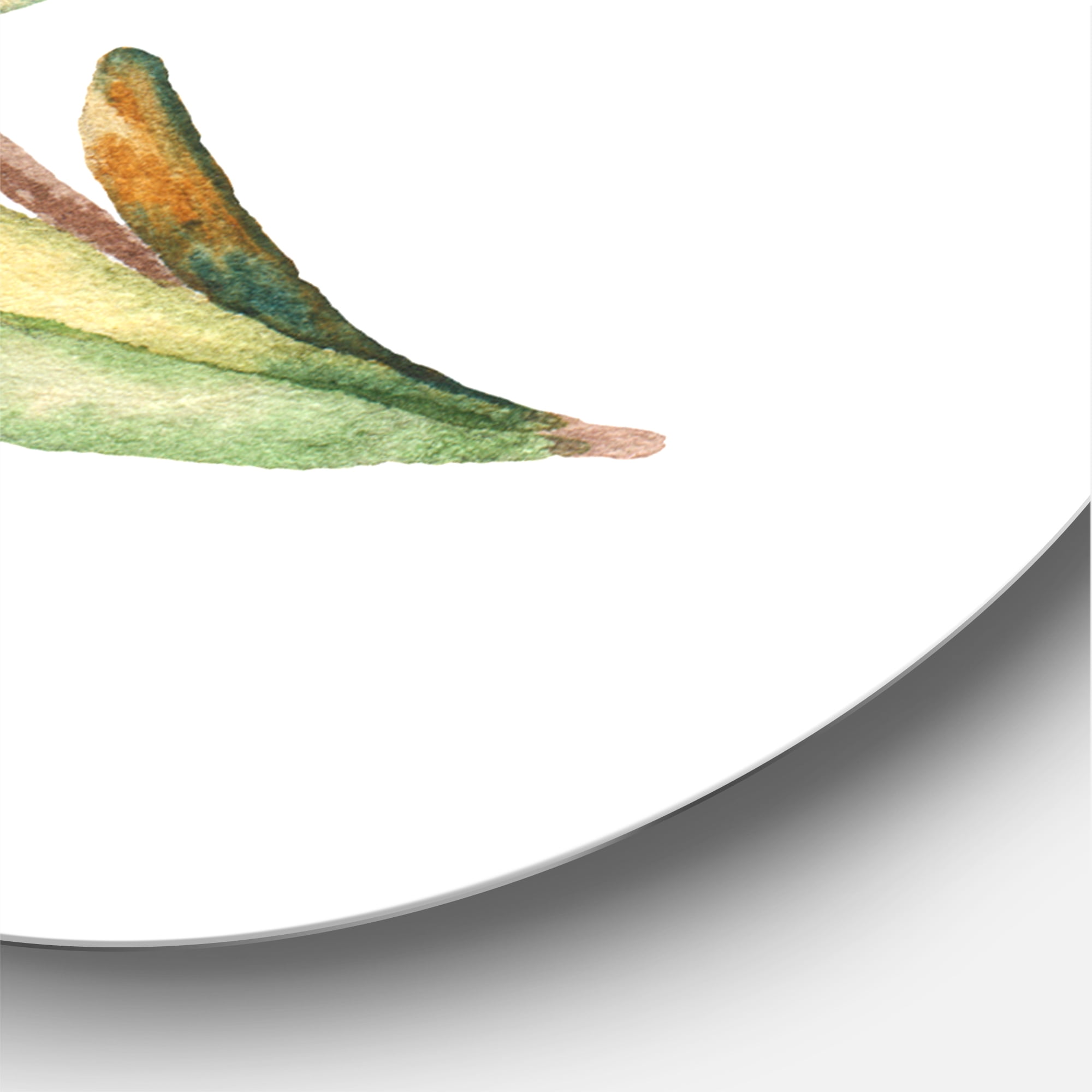 Designart 'Leaf Rosemary Branch on White' Traditional Circle Metal Wall Art 29x29 - Disc of 29