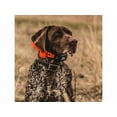 thumbnail image 4 of DT Systems The Rapid Access Pro Trainer 1450 Upland Electronic Dog Collar Combo Orange, 4 of 4