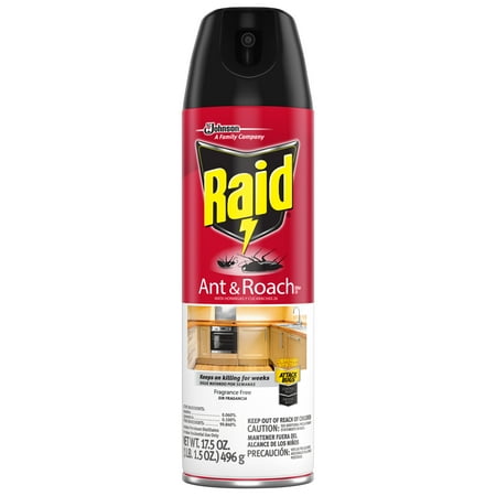 - Raid Ant & Roach Killer 26, Fragrance Free, 17.5 oz