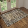 thumbnail image 1 of BERTHMEER 2'x3' Small Area Rugs Washable for door Entryway Bedroom indoor Distressed Rugs, Brown, 1 of 6