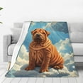 thumbnail image 4 of Salouo Sunshine Cloud Bulldog Print Bed Blankets,Flannel Blanket Comfortable Air Conditioning Blanket Lightweight Blanket for Sofa Bed Travel & Couch -60"x50", 4 of 8
