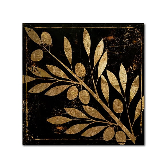 Trademark Fine Art "Bellissima I" Canvas Art by Color Bakery