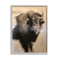 Stupell Industries Young Bull Vintage Portrait Realistic Rustic Animals & Insects Drawing Gray Framed Art Print Wall Art, 11 x 14