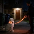 thumbnail image 4 of FeiFu LED Light-Up Dog Leash USB Rechargeable Luminous Traction Rope Adjustable Reflective Pull Strap Glow in the Dark Safety Leash for Night Walking, 4 of 6