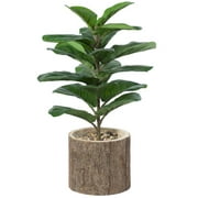 Vintiquewise QI003849 Wooden Stump Tree Branch with Bark Succulent Planter Pot Flower Shelf