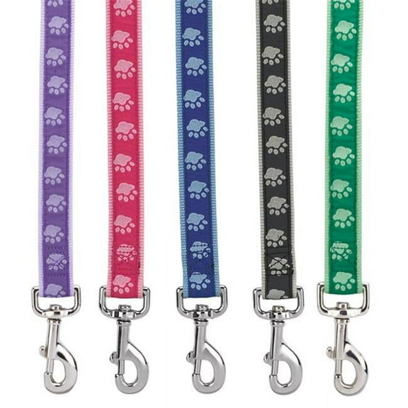 Petedge ZA886 66 19 Two Tone Pawprint Lead 6 Ft x 1 In Blue