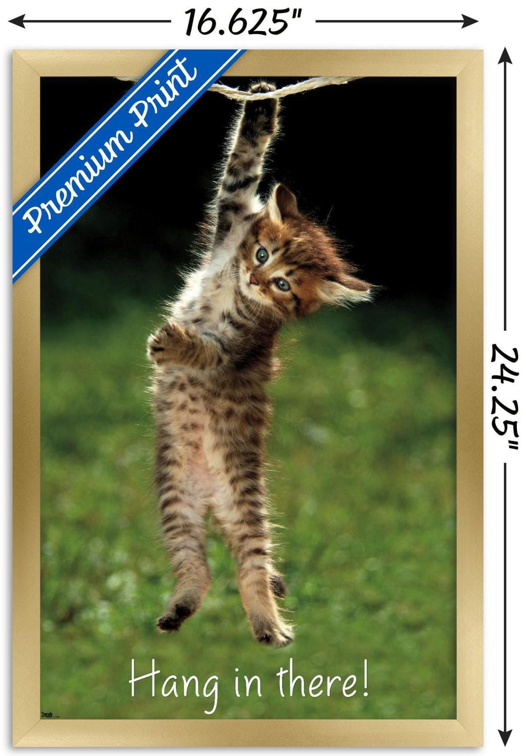 Famous Kitten Hang In There Poster Wall Poster, 22.375" x 34"