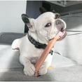 thumbnail image 3 of Nylabone Power Chew Original Bone Dog Chew Toy Bacon Large (1 Count), 3 of 15