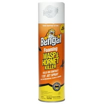 Bengal Foaming Wasp & Hornet Killer