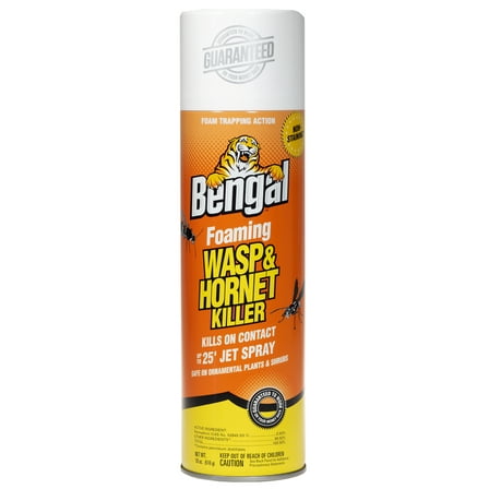 Bengal Foaming Wasp & Hornet Killer