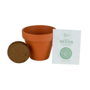 Buzzy Lavender Herb Terra Cotta Grow Kit