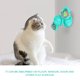 thumbnail image 5 of Molino de viento interactivo para gatos y gato de interior con luces LED. Entretenimiento para gatos aburridos de todas las razas, 5 of 7