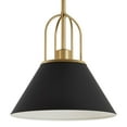 thumbnail image 2 of Hunter - Carrington Isle 1-light Matte Black, Medium Size Pendant Light, Dimmable, Transitional Style, Cone Shaped, for Bedrooms, Dining, Living Rooms - 13163, 2 of 7
