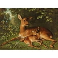 thumbnail image 3 of Carl Schweninger, Jr 14x11 Black Modern Framed Museum Art Print Titled - A Doe with Fawn, 3 of 5