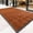 Brown, variant on WANLISEL 3 x 5 ft Anti-Slip Carpet Door Mat, Entrance Floor Doormat, Industrial Entry Carpet Indoor Outdoor Entryway Rug, Black