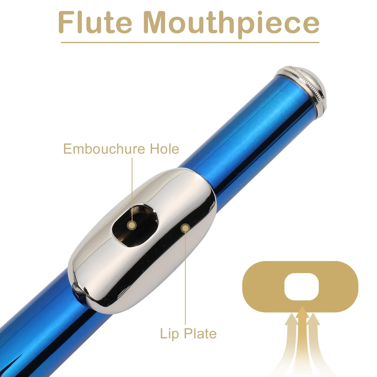 Zimtown 16 Hole C Flute for Student Beginner School Band with Case