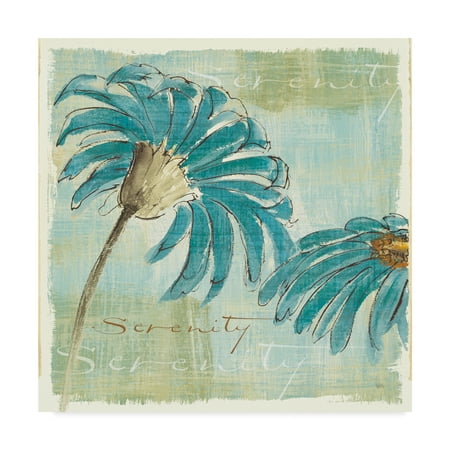 - Trademark Fine Art 'Spa Daisies IV' Canvas Art by Chris Paschke