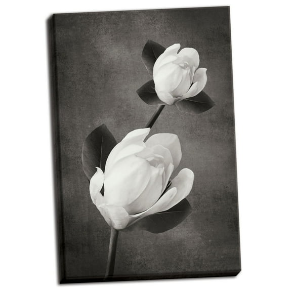 Gango Home Decor Tulip Tree Duet B&W by Vitaly Geyman (Ready to Hang); One 24x36in Hand-Stretched Canvas