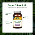 thumbnail image 4 of Flora - Super 5 Lozenge Probiotic, Raspberry Flavored Oral Probiotic, Good for Bad Breath, Five Strains with 2 Billion CFU, Regain and Retain Gut Health, RAW, 60 Lozenges, 4 of 7