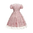 thumbnail image 5 of Girls Tulle Princess Dresses Trendy Embroidery Flower Lace Puff Sleeve Crew Neck Gown for Pageant Wedding Birthday Party Graduation Dance Prom Pink 5-6 Years, 5 of 6
