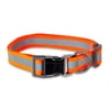 Vibrant Life Metal & Nylon Fashion Dog Collar, Orange, L