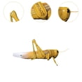 thumbnail image 6 of shamjina Locusts Model Home Decor Detachable Assembly Lightweight Sturdy Learning Toy, 6 of 8