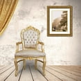 thumbnail image 3 of Straatsma, Leah 15x18 Gold Ornate Wood Framed with Double Matting Museum Art Print Titled - HighlandCow in Pasture, 3 of 4