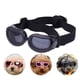 thumbnail image 2 of Gafas para perros, protección contra el polvo a prueba de nieve, gafas de sol protectoras para mascotas para cachorros y gatos , negro SM SunniMix Gafas de gato, 2 of 8