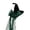 j48-Green, variant on LIIPEE Halloween Gothic Bow Embellishment Witch Hat For Women Costume Accessories One Size