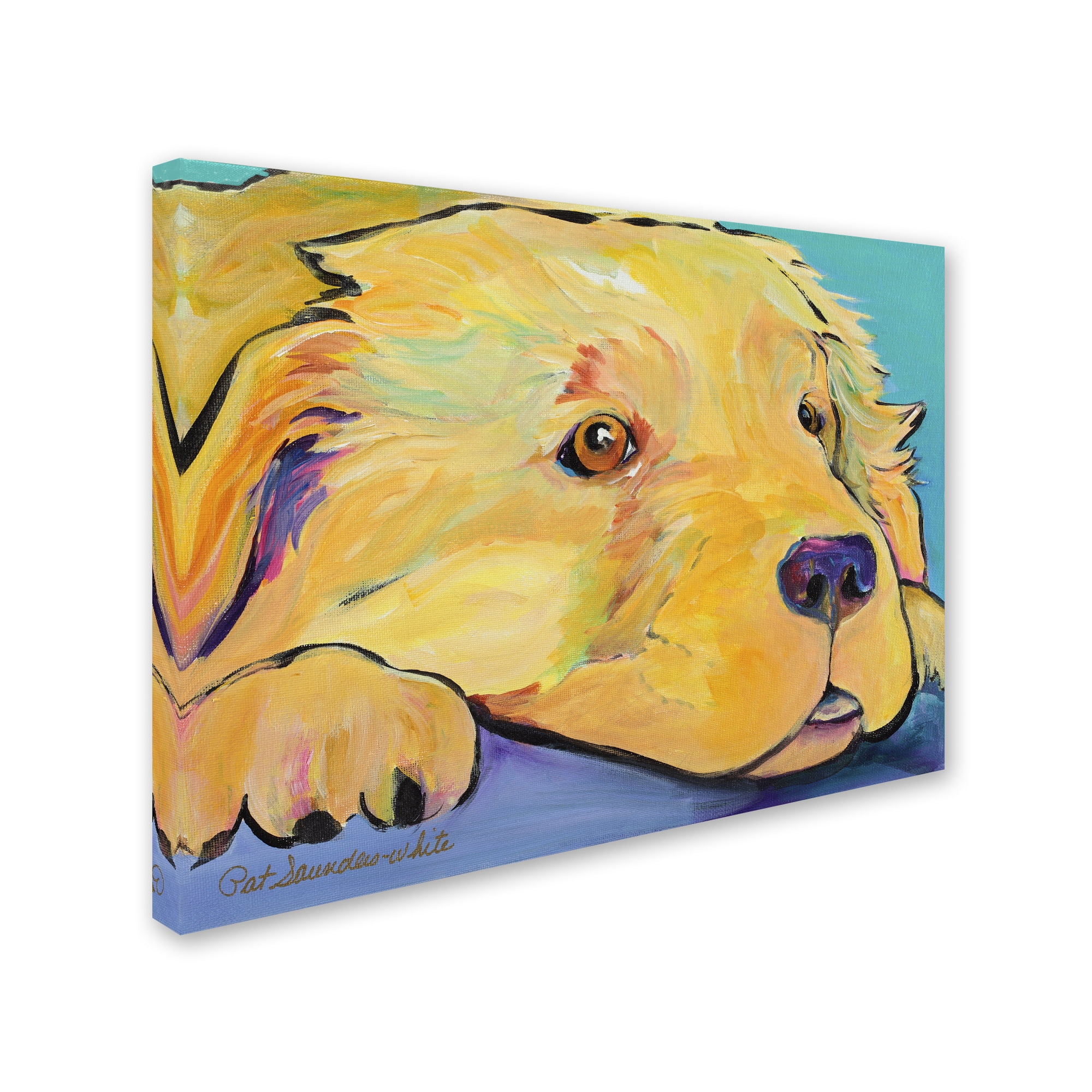 Trademark Fine Art "Baby" Canvas Art by Pat Saunders-White