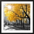 thumbnail image 2 of Art.com Park Pretty II Photographic Print by Assaf Frank, Black Frame Wall Art, 21" x 21", 2 of 4