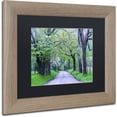 thumbnail image 2 of Trademark Fine Art "Cades Cove Lane" Canvas Art by Michael Blanchette Photography Black Matte, Birch Frame, 2 of 4