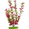 Marina Red Ludwigia Plant - 8" Tall